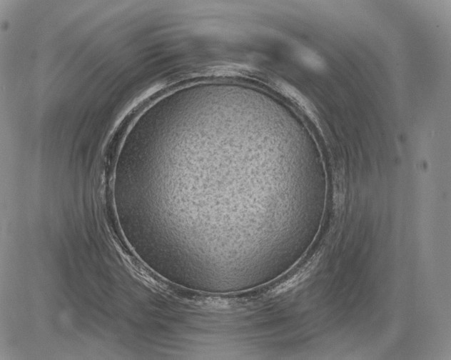 X0000083650827200702261114