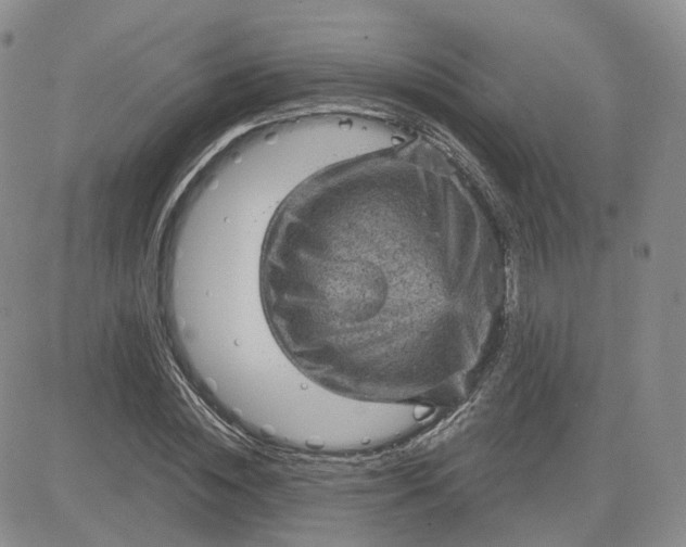 X0000083650828200702261114