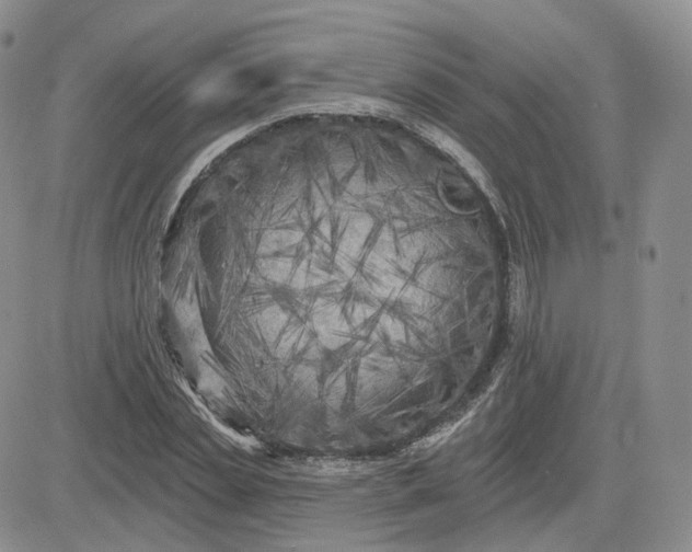 X0000083650829200702261114