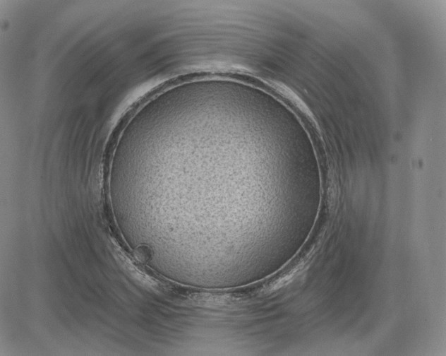 X0000083650831200702261114