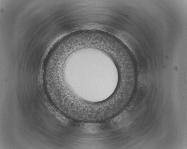 X0000083650832200702261114