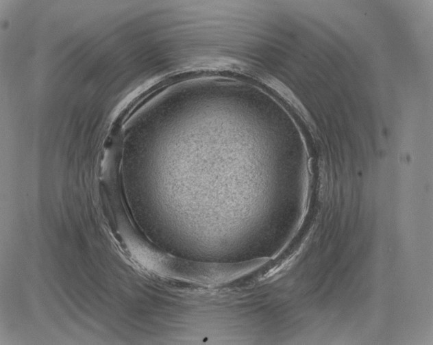 X0000083650834200702261114