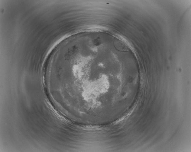 X0000083650835200702261114