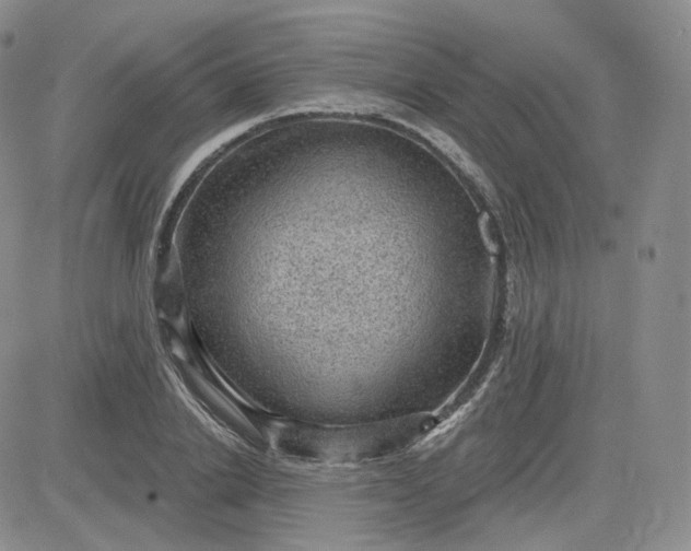 X0000083650838200702261114