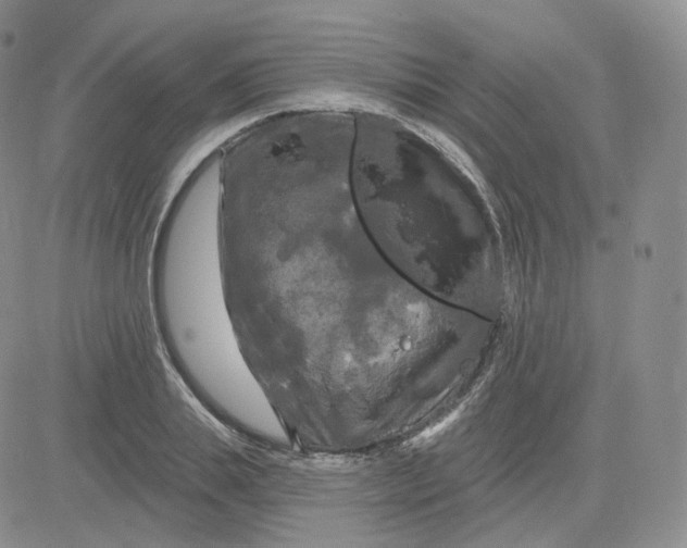 X0000083650839200702261114