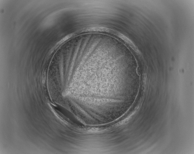 X0000083650841200702261114