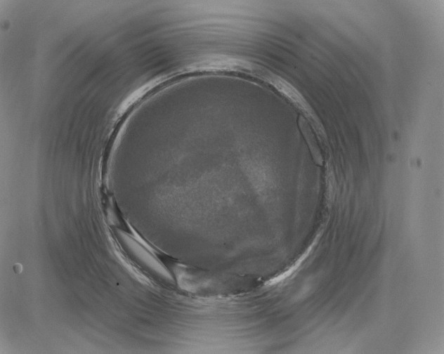 X0000083650842200702261114