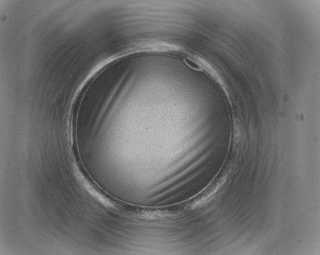 X0000083650843200702261114