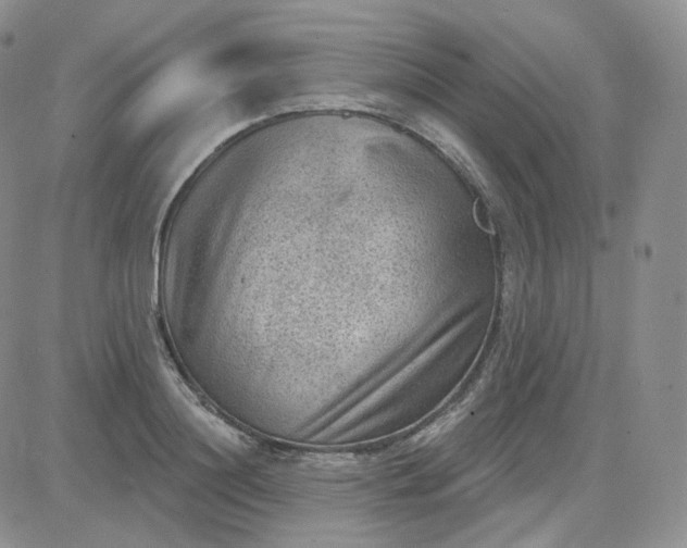 X0000083650844200702261114