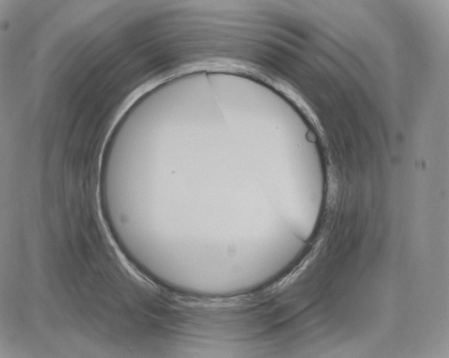 X0000083650845200702261114