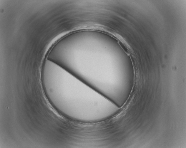 X0000083650846200702261114