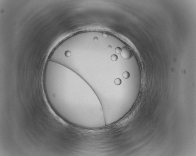 X0000083650847200702261114