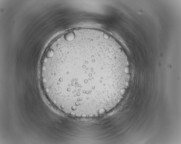 X0000083650848200702261114