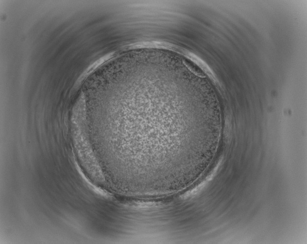 X0000083650849200702261114