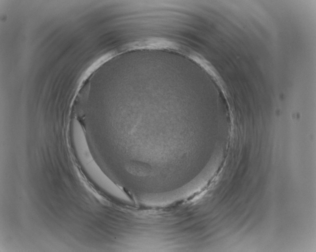 X0000083650850200702261114