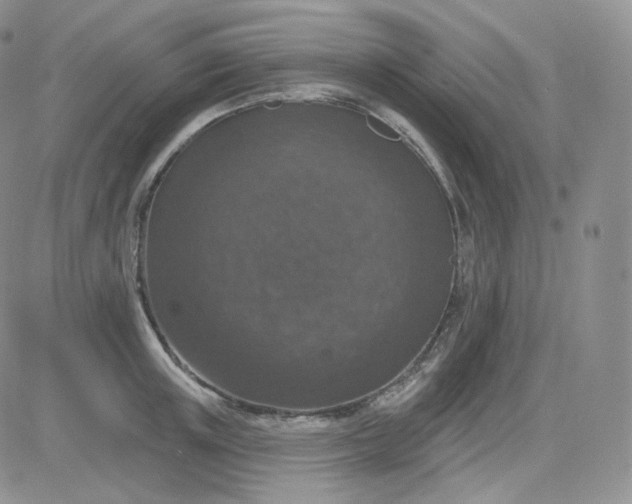 X0000083650851200702261114