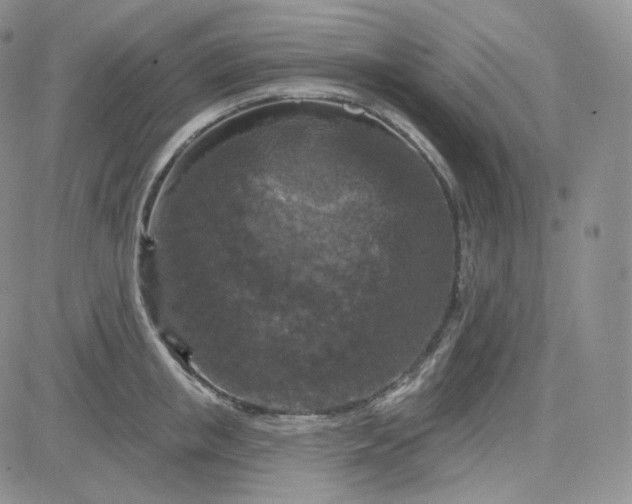 X0000083650853200702261114