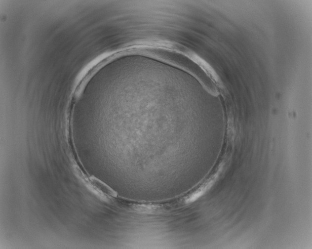 X0000083650854200702261114