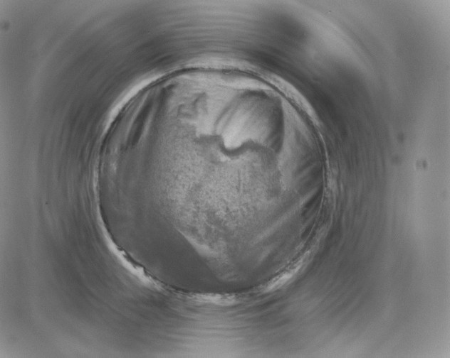 X0000083650855200702261114