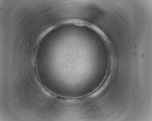 X0000083650857200702261114