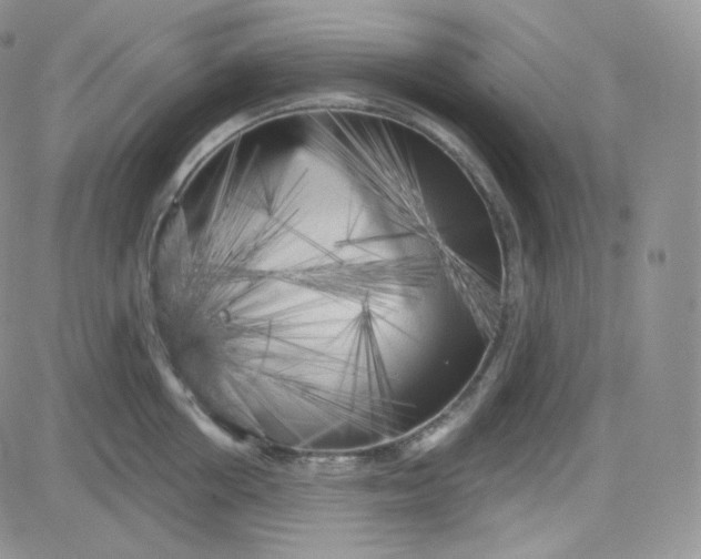 X0000083650858200702261114