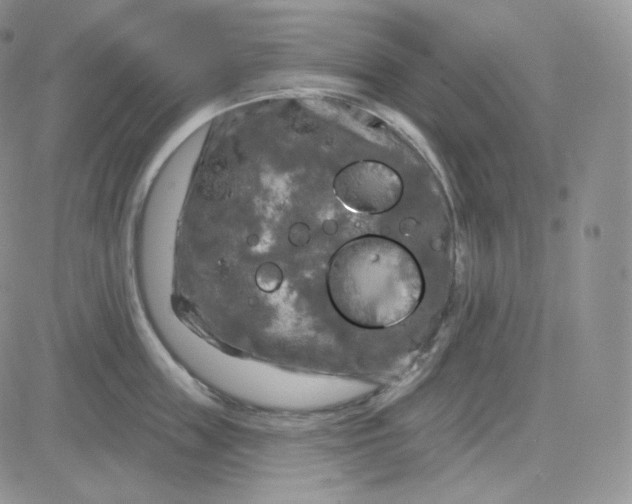 X0000083650859200702261114