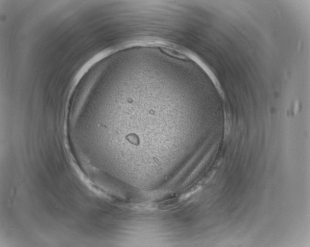 X0000083650861200702261114