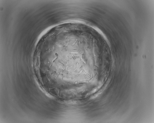 X0000083650862200702261114