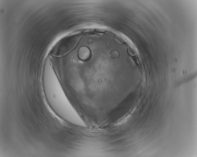 X0000083650863200702261114