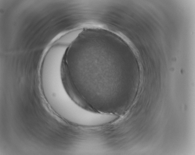 X0000083650864200702261114