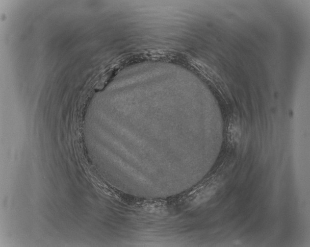 X0000083650865200702261114