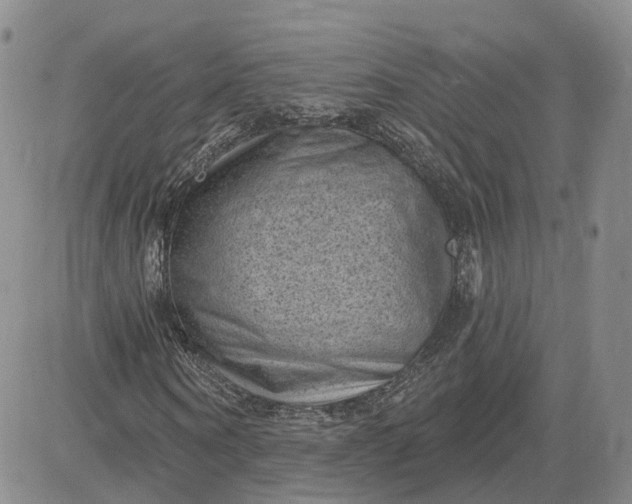 X0000083650866200702261113