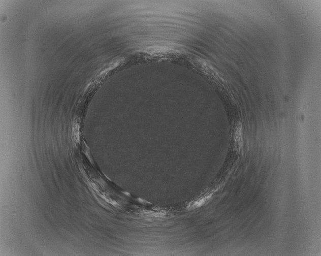 X0000083650868200702261113