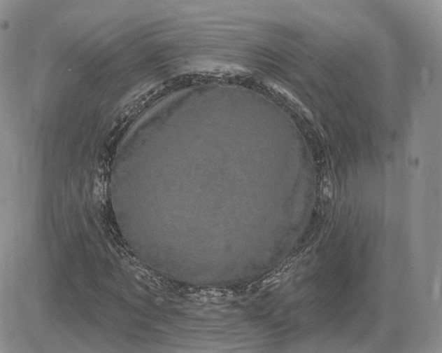 X0000083650869200702261113