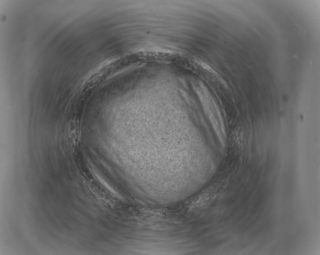 X0000083650870200702261113