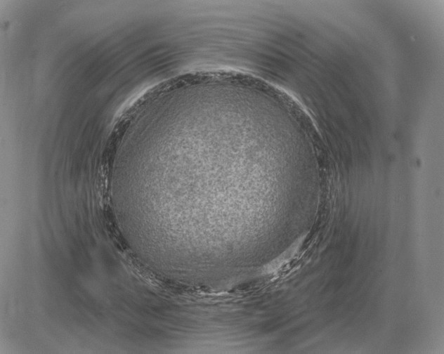 X0000083650871200702261113