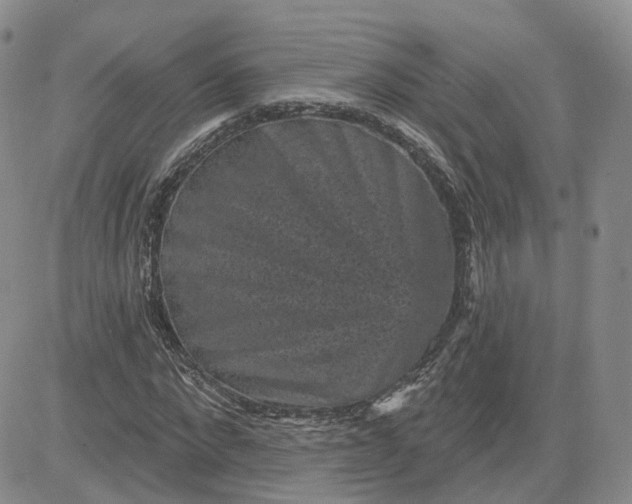 X0000083650872200702261113