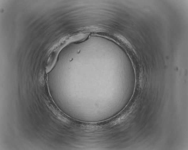 X0000083650873200702261113