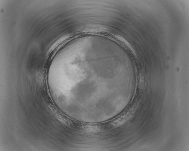 X0000083650874200702261113