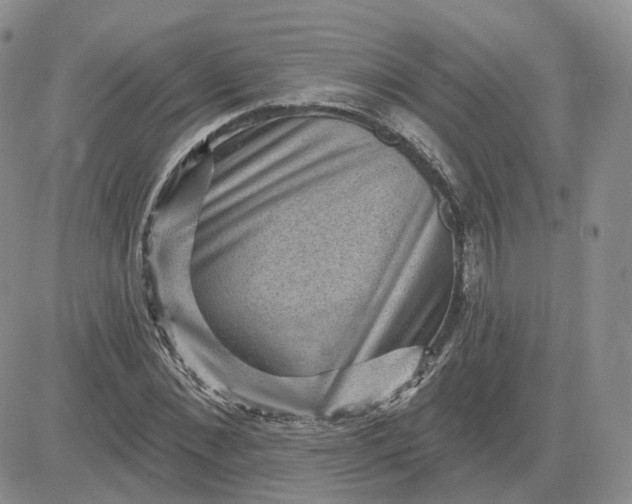 X0000083650876200702261113