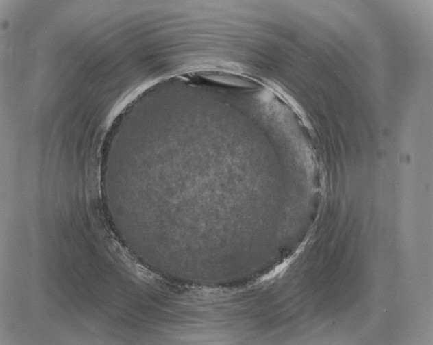 X0000083650877200702261113