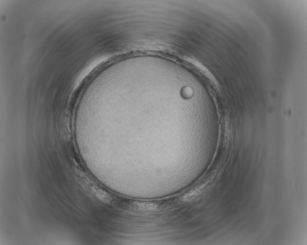 X0000083650878200702261113