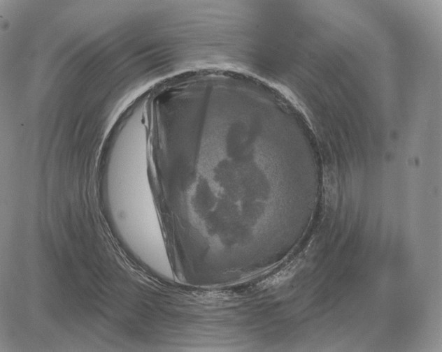 X0000083650879200702261113