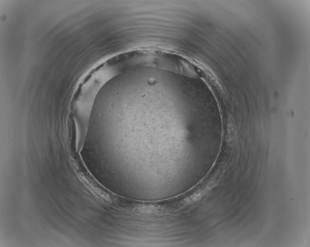 X0000083650880200702261113