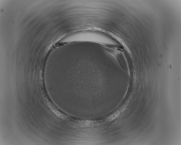 X0000083650881200702261113