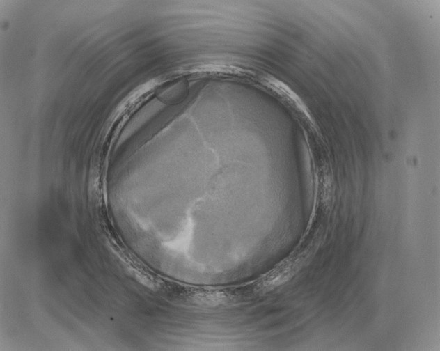 X0000083650882200702261113