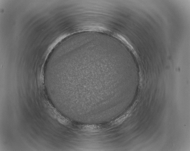 X0000083650883200702261113