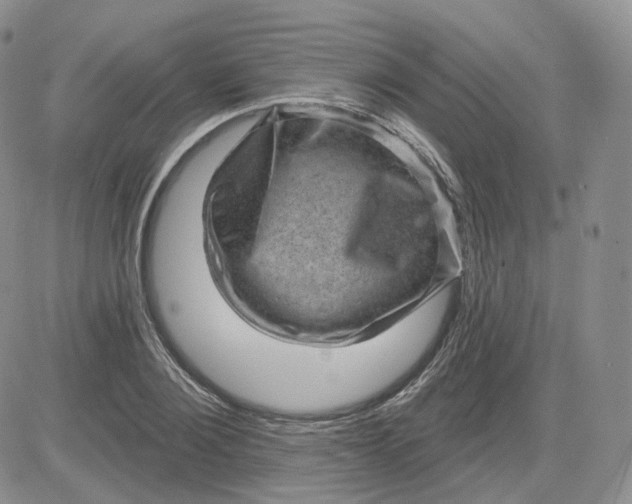 X0000083650884200702261113