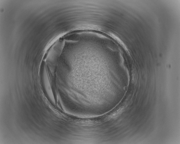 X0000083650885200702261113