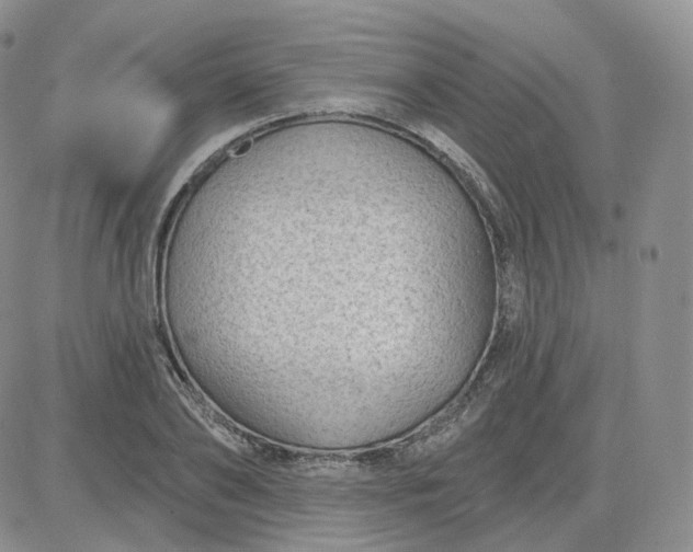 X0000083650886200702261113